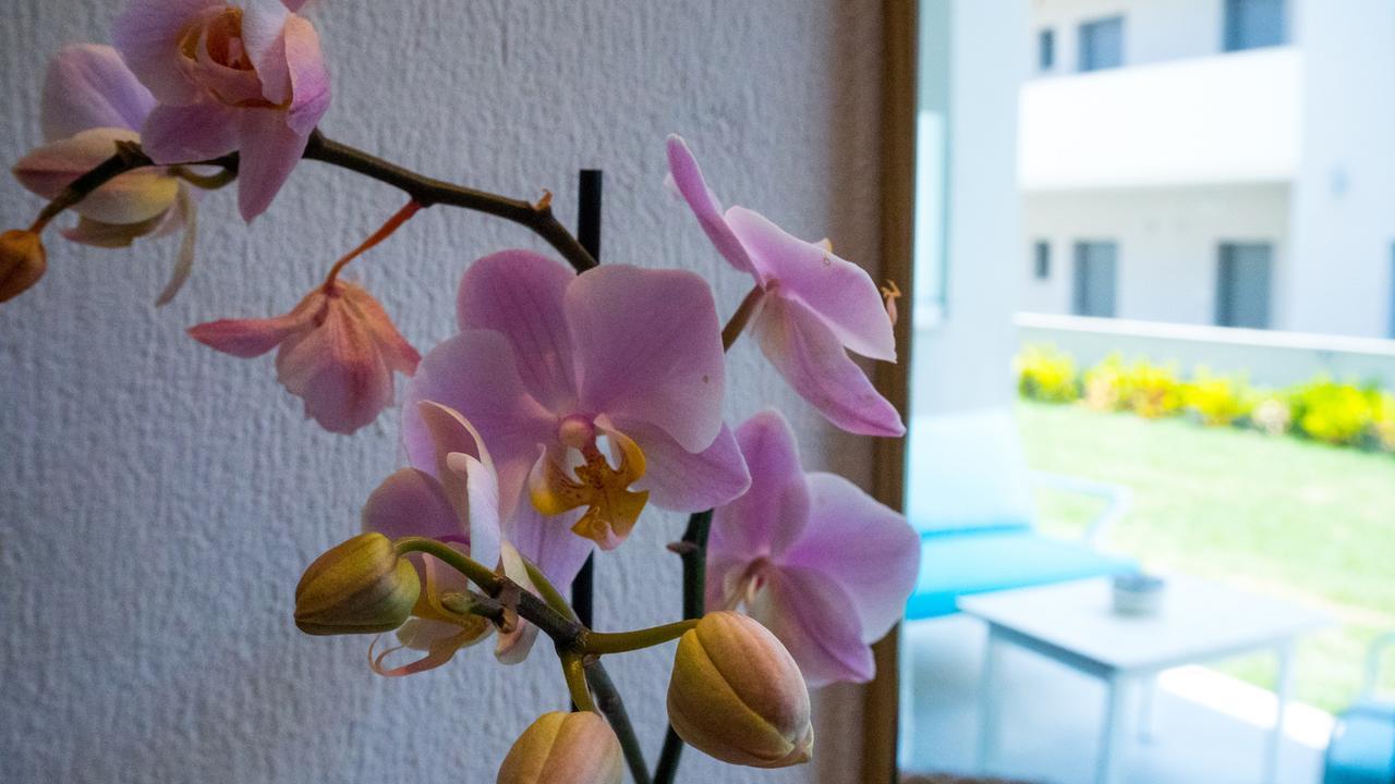 Costa Domus Blue Luxury Apartments 니키티 외부 사진